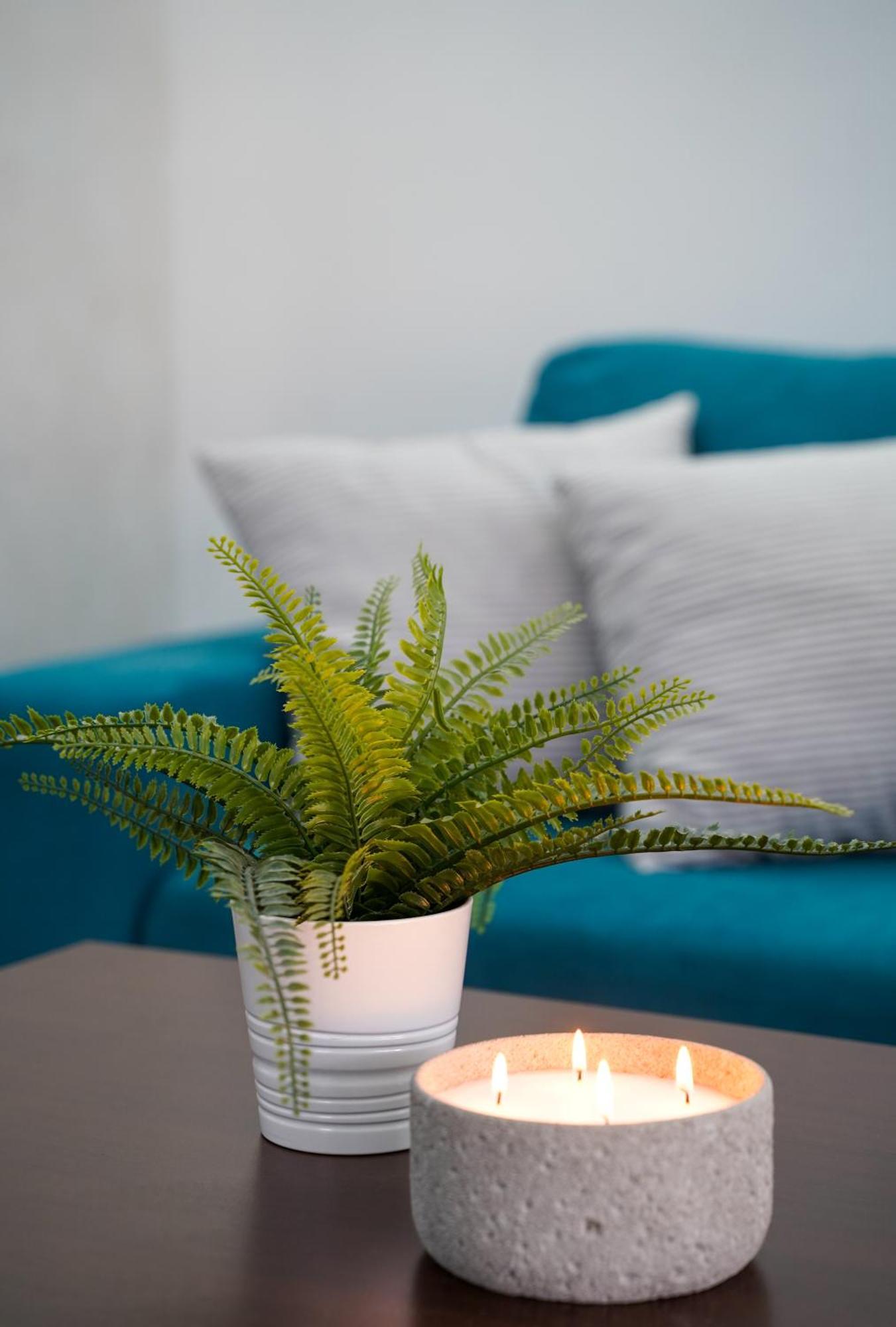 דירות Gardenlux ורדניק מראה חיצוני תמונה